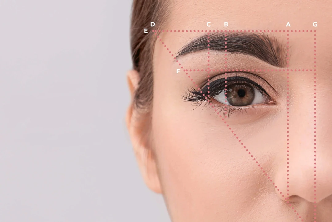 4 Altin Oran Kas Tasarimi